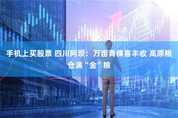 手机上买股票 四川阿坝：万亩青稞喜丰收 高原粮仓满“金”粮