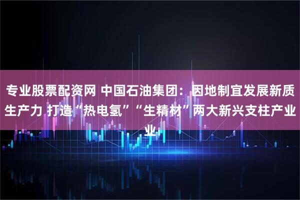 专业股票配资网 中国石油集团：因地制宜发展新质生产力 打造“热电氢”“生精材”两大新兴支柱产业